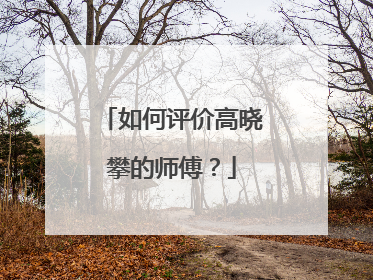 如何评价高晓攀的师傅？