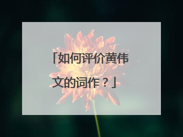 如何评价黄伟文的词作？