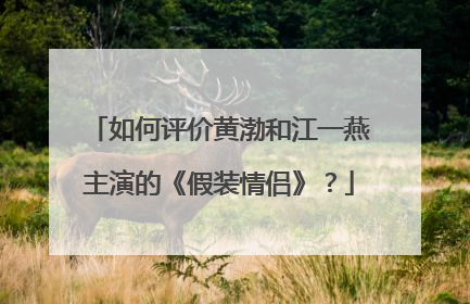 如何评价黄渤和江一燕主演的《假装情侣》？