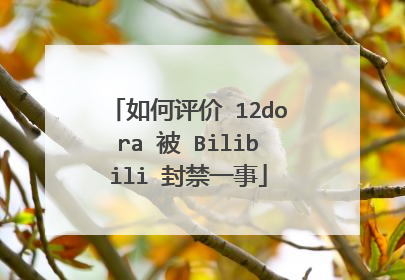 如何评价 12dora 被 Bilibili 封禁一事