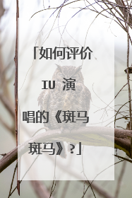 如何评价 IU 演唱的《斑马斑马》?