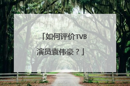如何评价TVB演员袁伟豪？