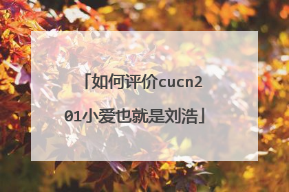 如何评价cucn201小爱也就是刘浩
