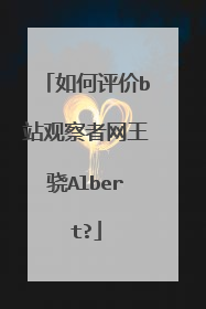 如何评价b站观察者网王骁Albert?