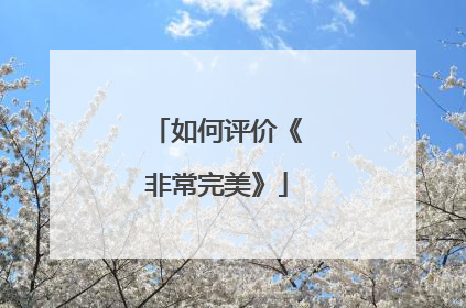 如何评价《非常完美》