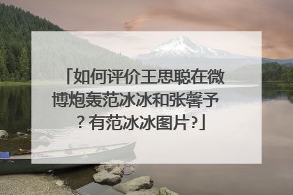 如何评价王思聪在微博炮轰范冰冰和张馨予？有范冰冰图片?