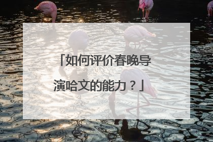 如何评价春晚导演哈文的能力？