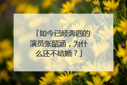 如今已经奔四的演员张韶涵，为什么还不结婚？