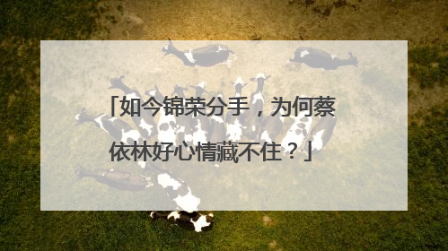 如今锦荣分手，为何蔡依林好心情藏不住？