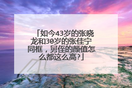 如今43岁的张晓龙和30岁的张佳宁同框,舅侄的颜值怎么都这么高?