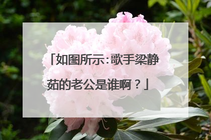 如图所示:歌手梁静茹的老公是谁啊？