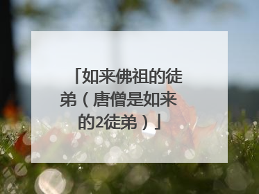 如来佛祖的徒弟(唐僧是如来的2徒弟)