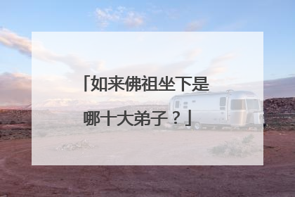 如来佛祖坐下是哪十大弟子？