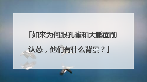 如来为何跟孔雀和大鹏面前认怂，他们有什么背景？