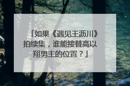 如果《遇见王沥川》拍续集，谁能接替高以翔男主的位置？
