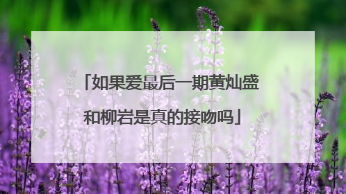 如果爱最后一期黄灿盛和柳岩是真的接吻吗