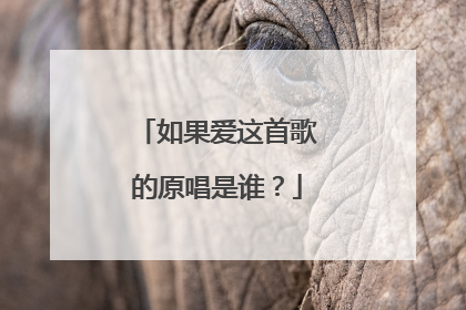 如果爱这首歌的原唱是谁？
