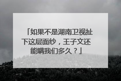 如果不是湖南卫视扯下这层面纱，王子文还能瞒我们多久？