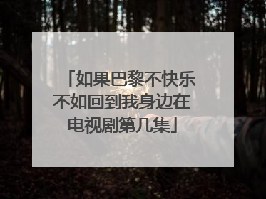 如果巴黎不快乐不如回到我身边在电视剧第几集