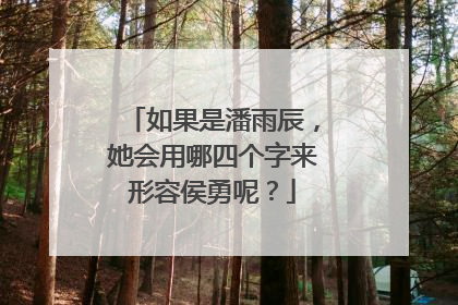如果是潘雨辰，她会用哪四个字来形容侯勇呢？