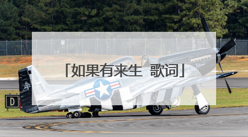 如果有来生 歌词