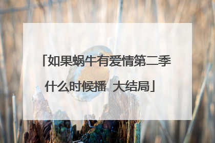 如果蜗牛有爱情第二季什么时候播 大结局