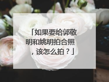如果要给郭敬明和姚明拍合照,该怎么拍?