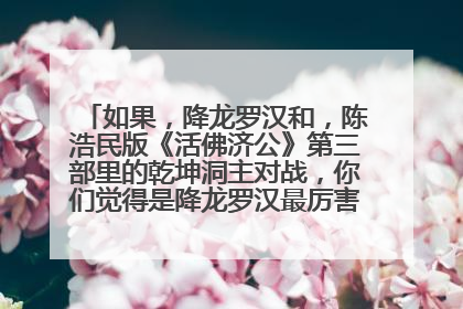 如果，降龙罗汉和，陈浩民版《活佛济公》第三部里的乾坤洞主对战，你们觉得是降龙罗汉最厉害，还是乾坤洞