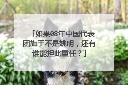 如果08年中国代表团旗手不是姚明，还有谁能担此重任？