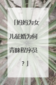 妈妈为女儿征婚为何青睐程序员?