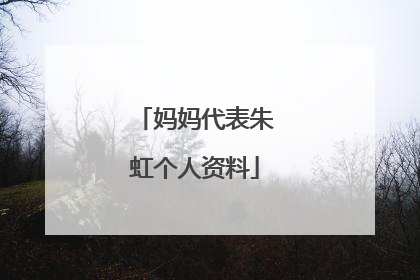 妈妈代表朱虹个人资料
