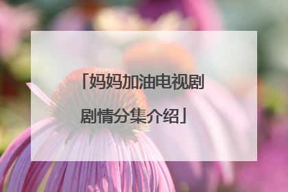 妈妈加油电视剧剧情分集介绍