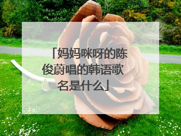 妈妈咪呀的陈俊蔚唱的韩语歌名是什么