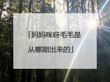 妈妈咪呀毛毛是从哪期出来的