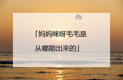妈妈咪呀毛毛是从哪期出来的