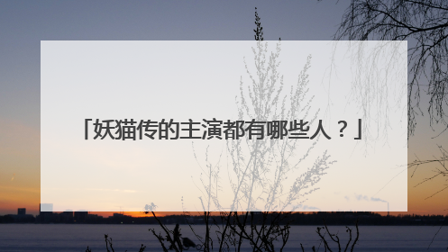 妖猫传的主演都有哪些人？