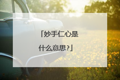 妙手仁心是什么意思?