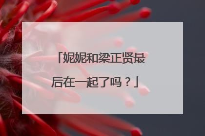 妮妮和梁正贤最后在一起了吗?