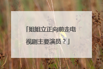 姐姐立正向前走电视剧主要演员?