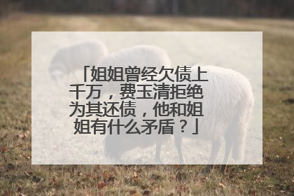 姐姐曾经欠债上千万,费玉清拒绝为其还债,他和姐姐有什么矛盾?