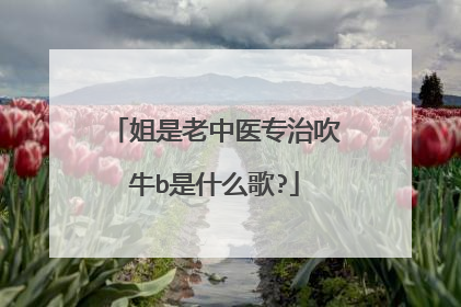 姐是老中医专治吹牛b是什么歌?