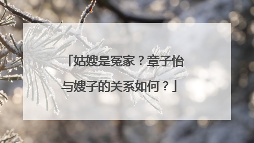 姑嫂是冤家?章子怡与嫂子的关系如何?