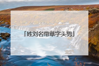 姓刘名带草字头男