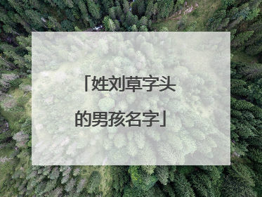 姓刘草字头的男孩名字