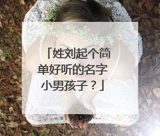 姓刘起个简单好听的名字小男孩子?