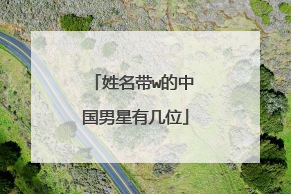 姓名带w的中国男星有几位