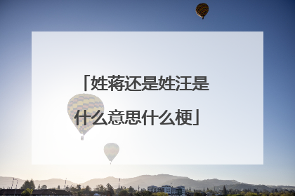 姓蒋还是姓汪是什么意思什么梗