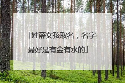 姓薛女孩取名，名字最好是有金有水的