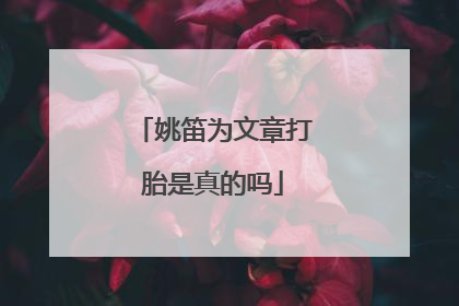 姚笛为文章打胎是真的吗