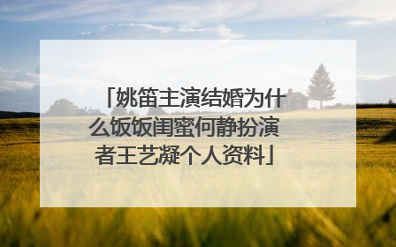 姚笛主演结婚为什么饭饭闺蜜何静扮演者王艺凝个人资料